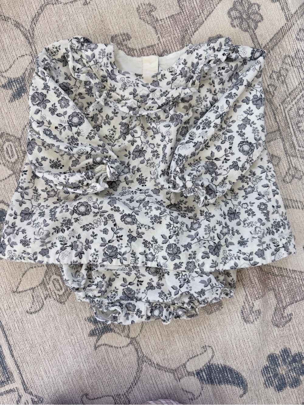 Janie and Jack Girls Floral Ruffle Long-Sleeve Set 18-24M